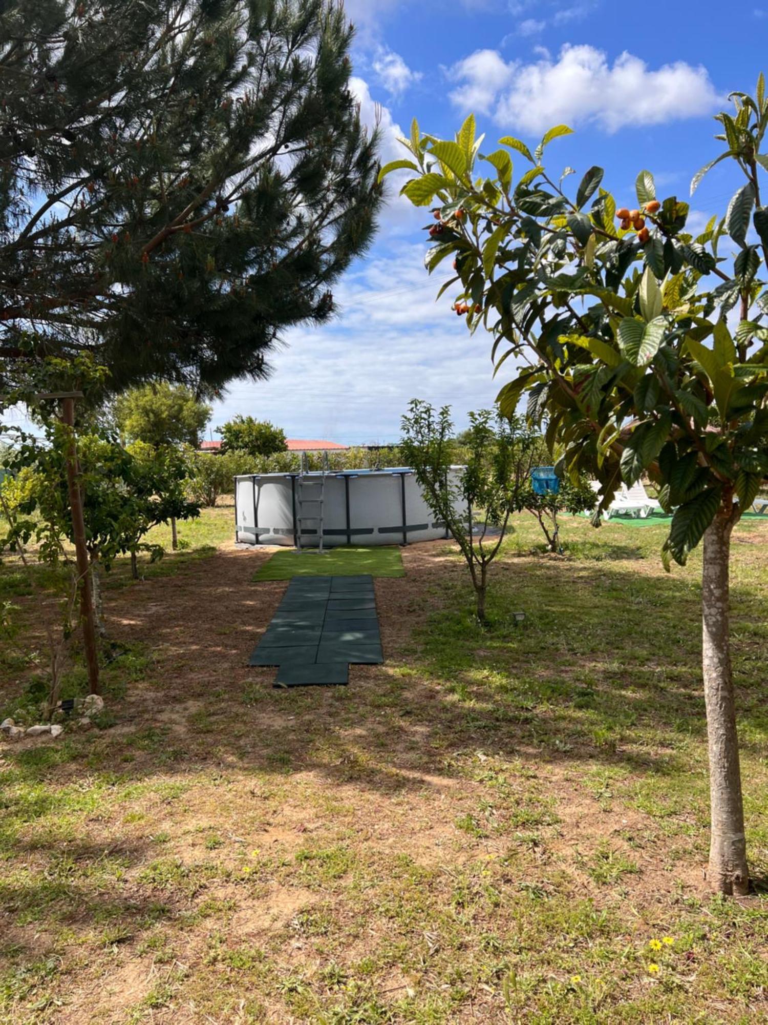 Quinta Dos Viegas Villa Faro Exterior photo
